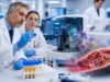 Learn the factor XI activity test normal range, what low or high results mean, why bleeding risk varies, and what follow-up testing is commonly used.