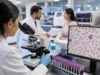 Low MCV means small red blood cells and often points to iron deficiency, thalassemia trait, or inflammation. Learn what microcytic anemia means, which follow-up tests help, and when low MCV needs medical attention.