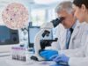 Learn what a peripheral blood smear test shows, including red blood cell morphology, abnormal white cells, platelet findings, anemia patterns, and what results can mean.