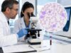 Learn what a platelet morphology test shows, including large platelets, giant platelets, platelet clumping, false low counts, blood smear findings, and follow-up steps.