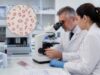 Learn what a red blood cell morphology test shows, including abnormal RBC shapes, anemia patterns, blood smear findings, result meanings, and follow-up tests.