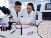 Learn the normal RDW range, what high or low red cell distribution width means, and how RDW is interpreted with MCV, hemoglobin, iron, B12, and CBC results.