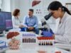 Low transferrin can reflect inflammation, liver disease, kidney protein loss, malnutrition, or iron overload. Learn how to read low transferrin with ferritin, TIBC, TSAT, and anemia results.