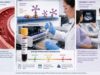 Understand what a beta-2 glycoprotein 1 IgM antibody result means, how it relates to APS, clotting and pregnancy loss, and why repeat testing matters.
