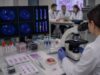 Learn how FISH testing uses fluorescent probes to detect gene deletions, duplications, amplifications, and fusions, including signal patterns, cutoffs, and limitations.