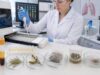 Respiratory Allergy Panel: Inhalant Allergens, Specific IgE, Asthma, and Rhinitis Learn how a respiratory allergy panel tests specific IgE to pollen, mites, pets, molds, and other inhalants, and how results relate to rhinitis, asthma, cross-reactivity, and treatment.