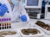 Shellfish Allergy IgE Test: Shrimp, Crab, Lobster, Tropomyosin, and Allergy Risk Understand shrimp, crab, lobster, and tropomyosin IgE testing, including cross-reactivity with mites, component results, oral challenges, and what positive or negative values mean.