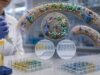 Learn what the AH50 complement test measures, why low activity occurs, how AH50 and CH50 patterns identify pathway defects, and which follow-up tests may be needed.