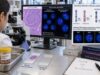 Learn what a BCL2 rearrangement FISH test means in follicular lymphoma, how t(14;18) is interpreted, and how MYC plus BCL2 defines double-hit disease.