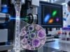 Learn what a CD22 test shows in B-cell leukemia and lymphoma, what positive or dim staining means, and how CD22 can affect diagnosis, treatment, and MRD testing.