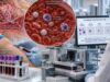 Learn how circulating tumor cell blood tests detect tumor cells, what CTC counts mean, how they relate to prognosis and monitoring, and how CTCs differ from ctDNA.