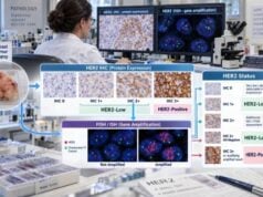 Understand HER2 breast cancer testing, including IHC scores, FISH amplification, positive and negative results, HER2-low, HER2-ultralow, and treatment meaning.