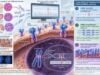 Learn what a HER2/ERBB2 mutation test means in lung, breast, and gastric cancer, how mutations differ from HER2 amplification or IHC, and how results can guide targeted treatment.