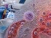 Learn what an IL-1β test measures, why levels may be high or undetectable, how inflammasomes release IL-1 beta, and how specialists evaluate autoinflammatory disease.