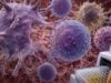 Learn what an IL-12 test measures, how IL-12p70 differs from p40 and IL-23, and what high, low, or undetectable results may mean for T-cell and infection responses.