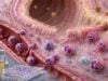 Learn what an IL-5 test measures, how it relates to eosinophils, asthma, allergy, and eosinophilic disease, and why high or low results require clinical context.