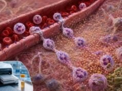 Interleukin-8 (IL-8) Test: Neutrophil Inflammation, Infection Response, and Meaning Understand what an IL-8 or CXCL8 test measures, how it directs neutrophil inflammation, why high levels are nonspecific, and which follow-up tests clarify infection and tissue injury.