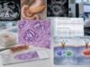 Understand KRAS Test for Pancreatic Cancer Tumor Mutation, Mutation Status, and Diagnostic Context: what the test measures, how results are interpreted, treatment implications, limitations, and practical next steps.