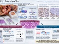 MLH1 Mutation Test: Lynch Syndrome, Colon Cancer, Mismatch Repair, and Variant Meaning Understand MLH1 mutation testing for Lynch syndrome and colon cancer, including MLH1/PMS2 loss, promoter methylation, BRAF triage, germline variants, cancer risk, and result meaning.