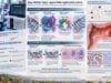 Understand MSH6 mutation testing for Lynch syndrome, including isolated MSH6 loss, MSI findings, germline variants, colorectal and endometrial cancer risk, surveillance, and next steps.