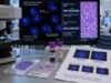 Learn what a MYC rearrangement FISH test detects, how positive and negative results are interpreted, and what MYC means in Burkitt, high-grade B-cell lymphoma, and leukemia.