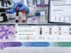 Understand NPM1 mutation testing in AML, including prognosis, FLT3 risk groups, molecular MRD monitoring, positive and negative results, and what changing NPM1 levels mean.