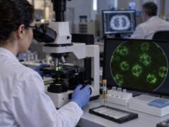 Learn what a positive or negative c-ANCA test means, how PR3 antibodies support granulomatosis with polyangiitis, why results can mismatch, and when biopsy or urgent care is needed.