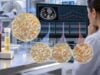 ctDNA Mutation Panel: Tumor Mutations, Blood-Based Genomic Testing, and Resistance Markers Learn how a ctDNA mutation panel finds tumor mutations and resistance markers in blood, what actionable and negative results mean, and when tissue testing is still needed.