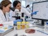 Bacteria in Urine Microscopy: UTI, Contamination, Colony Count, and Culture Follow-Up Bacteria in urine microscopy may mean UTI, contamination, or asymptomatic bacteriuria. Learn how pyuria, colony count, culture, and symptoms guide follow-up.