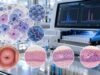 HPV 16 and HPV 18 Test: Cervical Cancer Risk, High-Risk Genotypes, and Meaning Learn what positive and negative HPV 16 and HPV 18 results mean, why these high-risk genotypes raise cervical cancer risk, and when colposcopy or other follow-up is recommended.