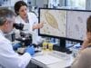 Parasites in Urine Microscopy: Abnormal Findings, Schistosoma, Trichomonas, and Meaning Parasites in urine microscopy are abnormal but require accurate identification. Learn how Schistosoma and Trichomonas differ, which tests confirm them, treatment principles, and warning signs.