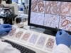 Tumor Immunohistochemistry (IHC) Panel: Protein Markers, Tumor Origin, Cancer Type, and Diagnosis Learn how tumor IHC panels use protein markers to establish lineage, narrow cancer origin, classify tumors, avoid pitfalls, and guide further molecular testing.