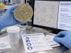 Urine Culture Contamination: Mixed Flora, Epithelial Cells, and Repeat Testing Meaning Learn what urine culture contamination means, how mixed flora and squamous epithelial cells affect interpretation, when repeat testing is useful, and how to collect a cleaner specimen.
