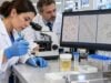 Urine Sediment Test: Microscopic Findings, Kidney Disease, Infection, and Meaning Learn what a urine sediment test shows, including cells, casts, crystals, bacteria, and yeast, and how microscopic findings can point to kidney disease or infection.