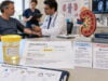Understand what a urine sodium test shows, why levels may be high or low, how urine sodium helps assess hyponatremia and volume status, and when FENa is useful in kidney evaluation.